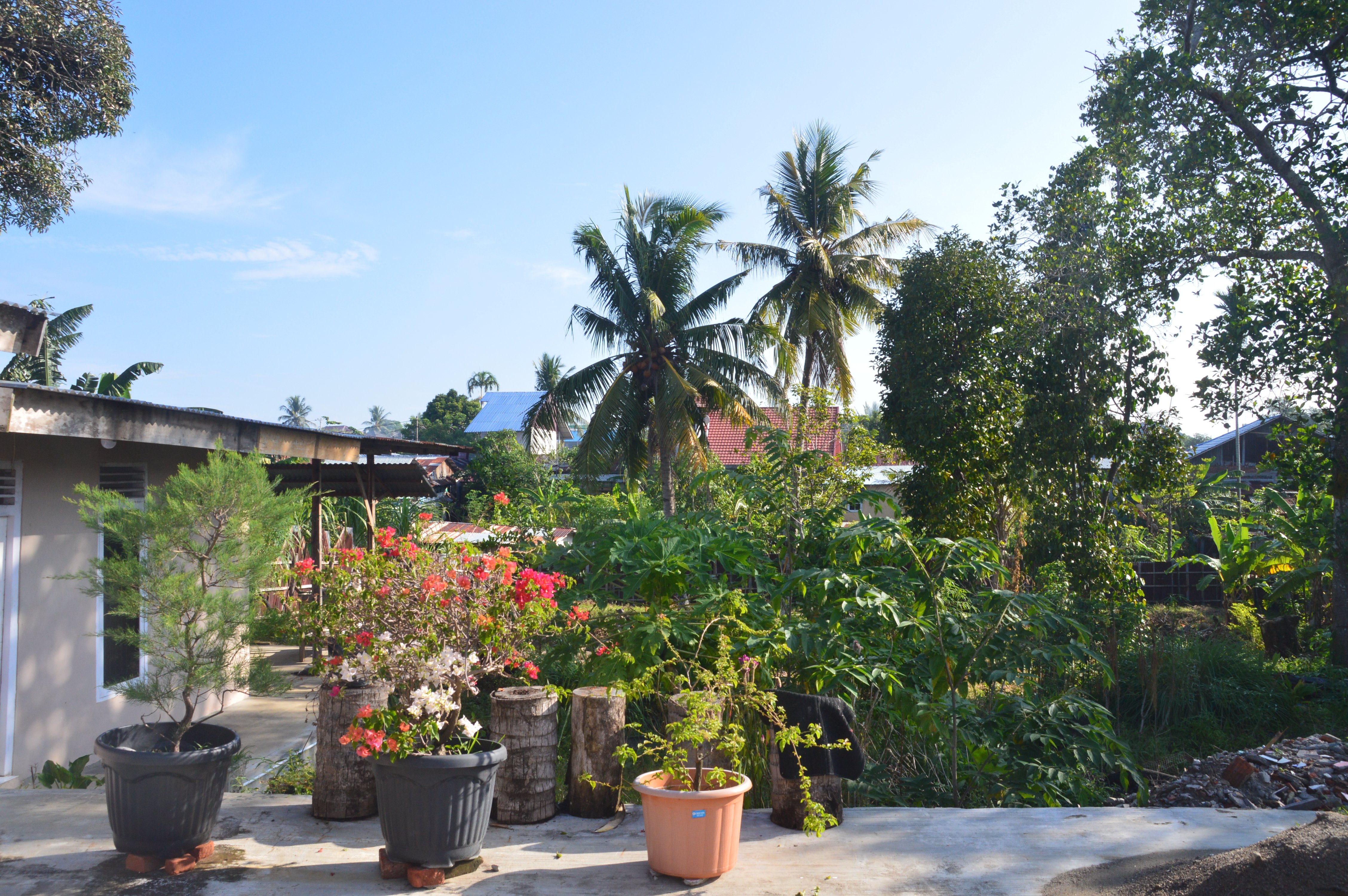 Tropicana Guest House-家庭/游戏区