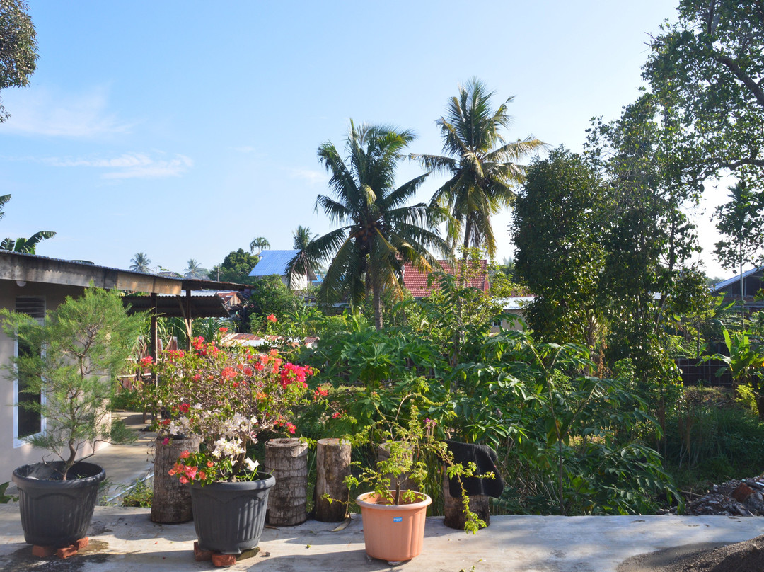 Tropicana Guest House主图