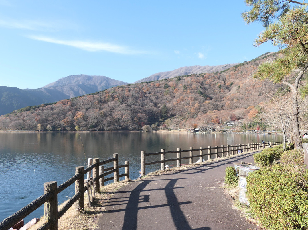 Lake Tanuki景点图片