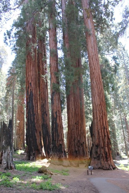 The Senate-Three Rivers必去景点