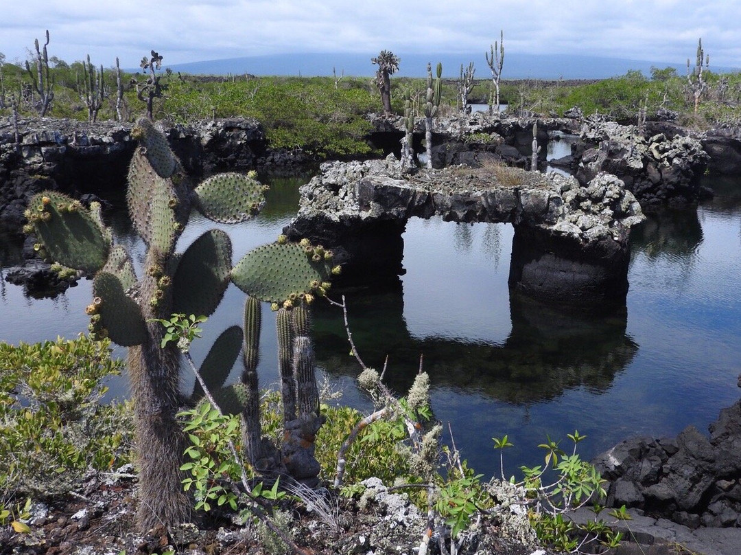 True Ecuador Travel景点图片