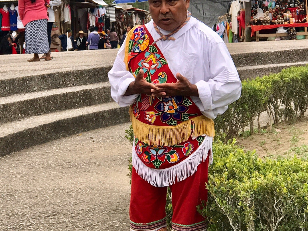 Los Voladores of Papantla景点图片