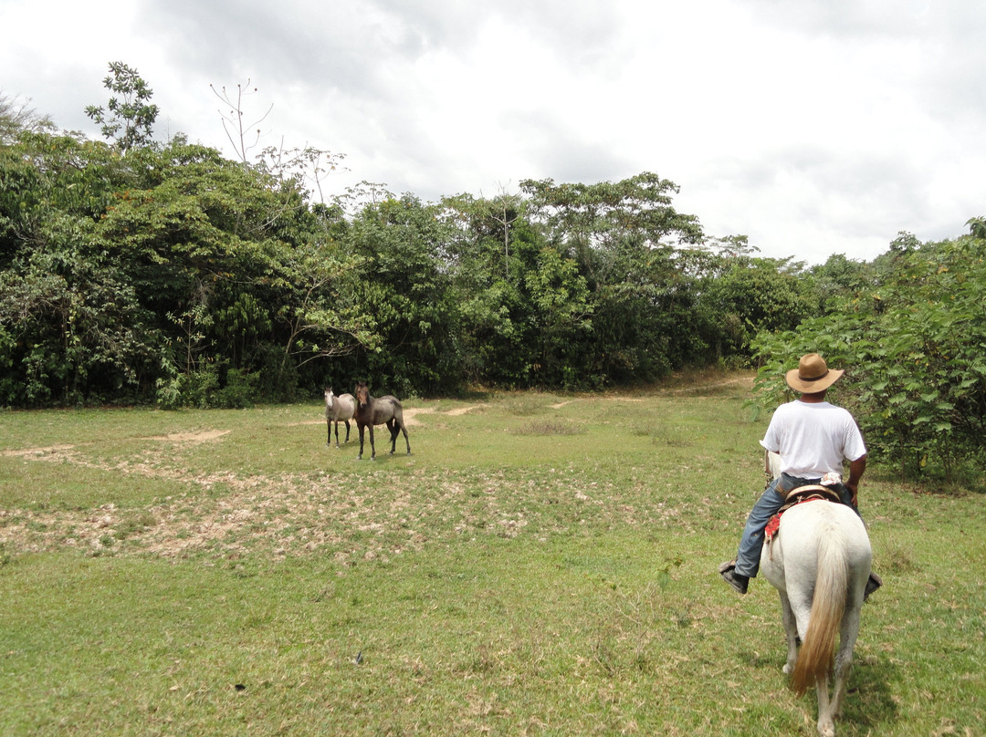 Parque las Malocas-比亚维森西奥必去景点