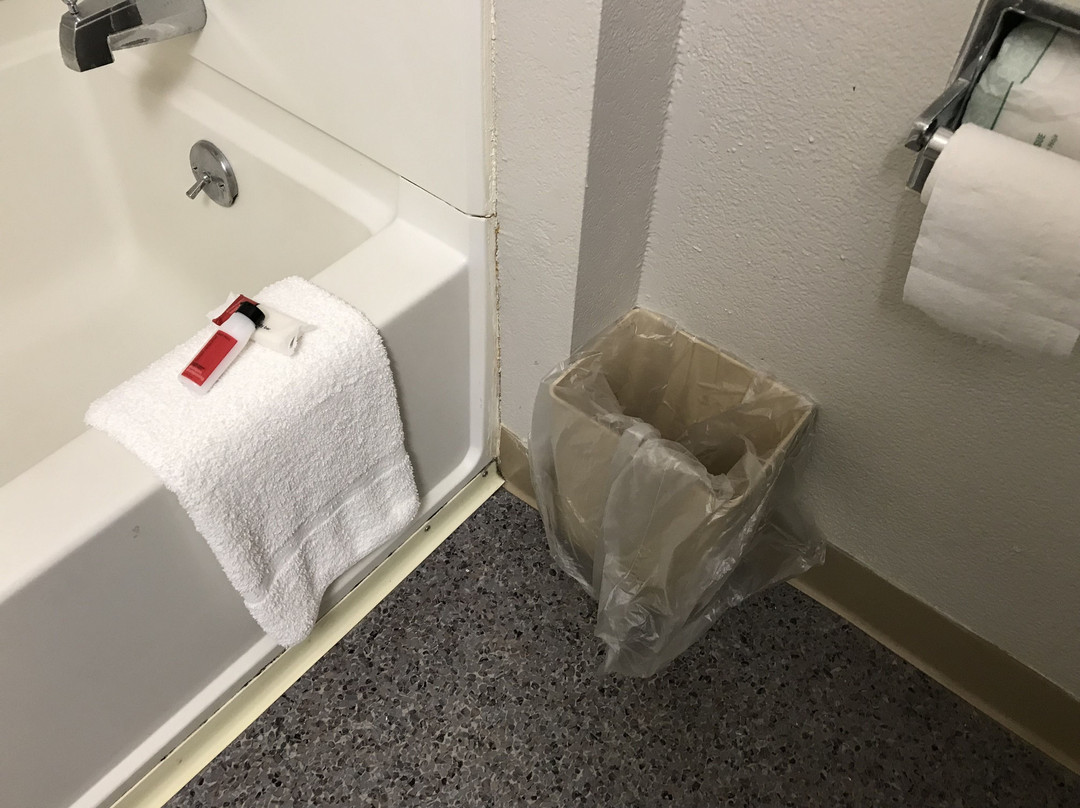 Microtel Inn & Suites主图