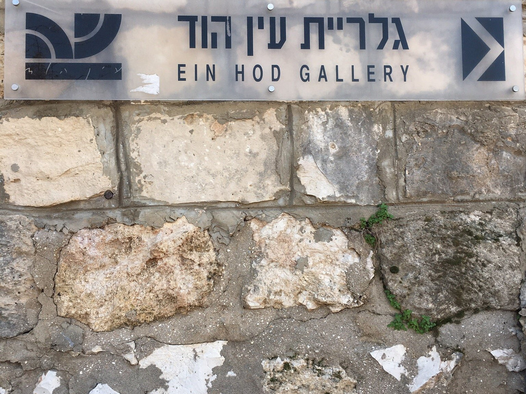 Whispering Wood-Ein Hod必去景点