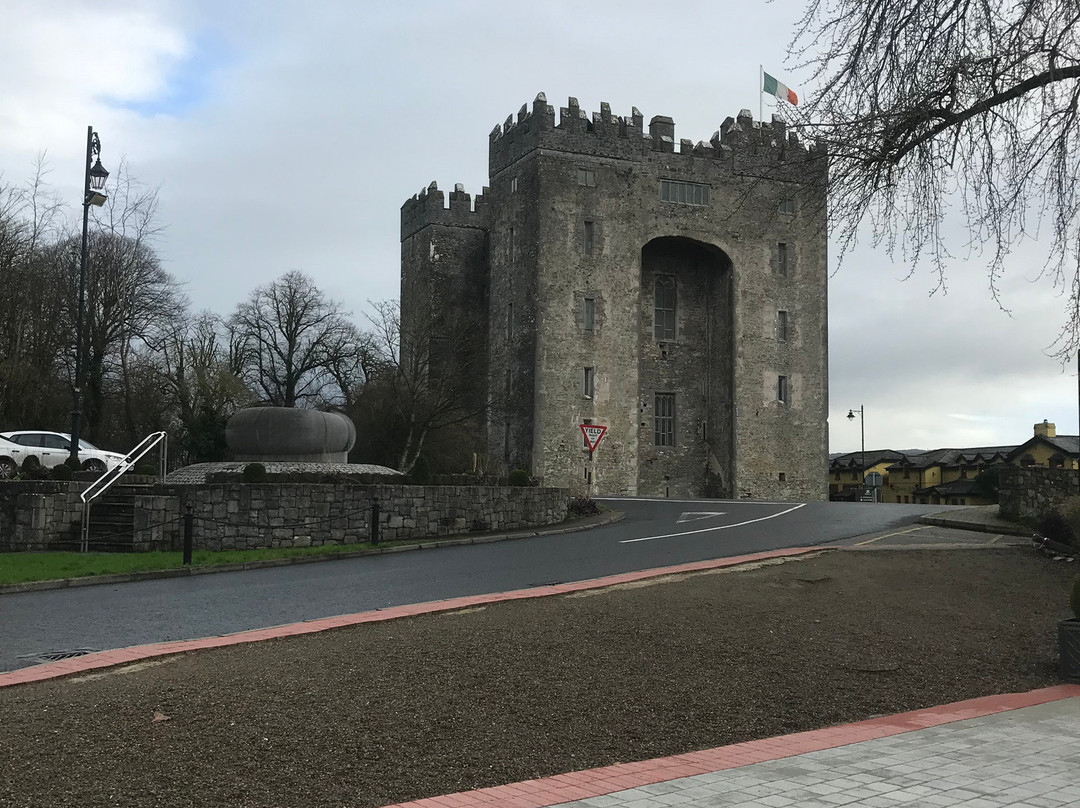 Irish Experience Tours景点图片