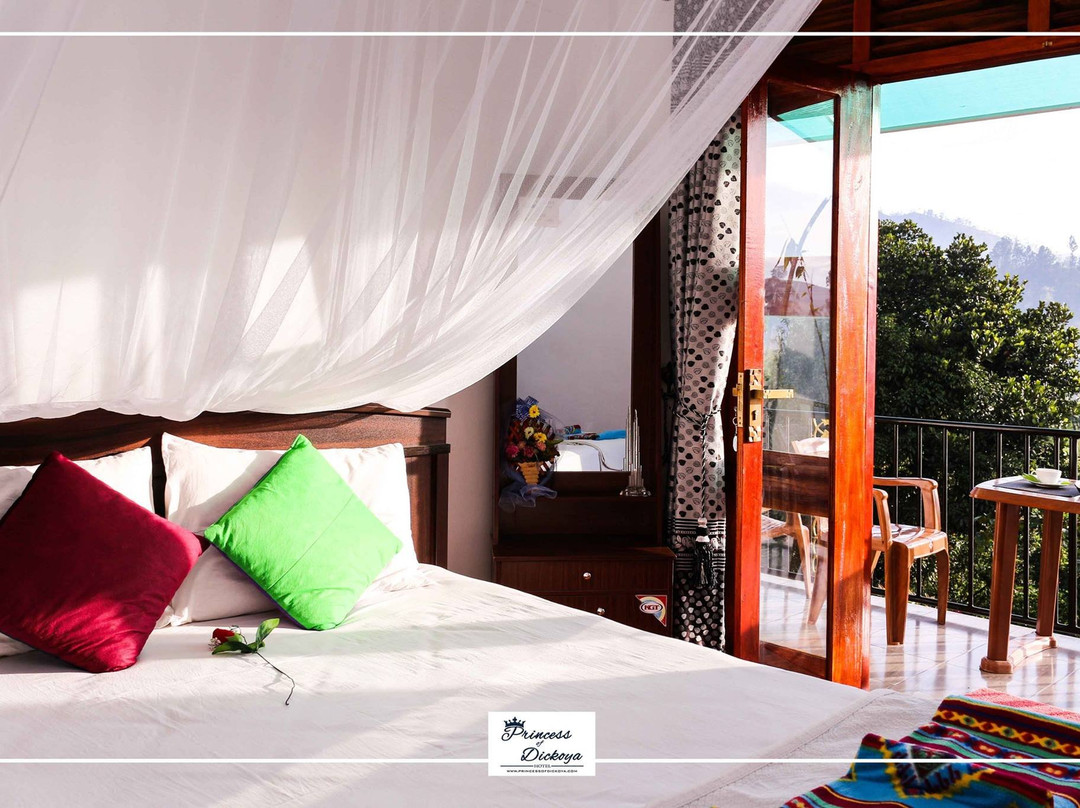 Dickoya酒店住宿-Princess of Dickoya