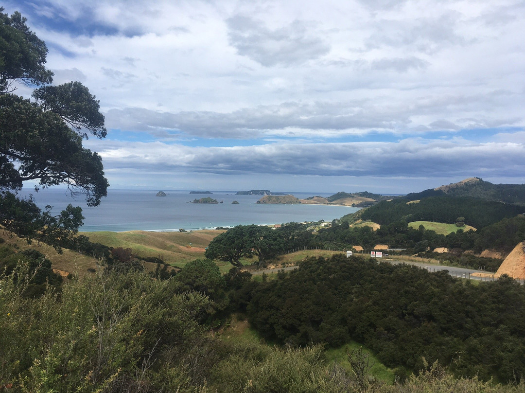 Opito Bay Beach景点图片