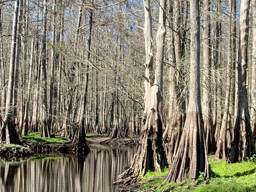 Ray's Airboat Rides-Christmas必去景点