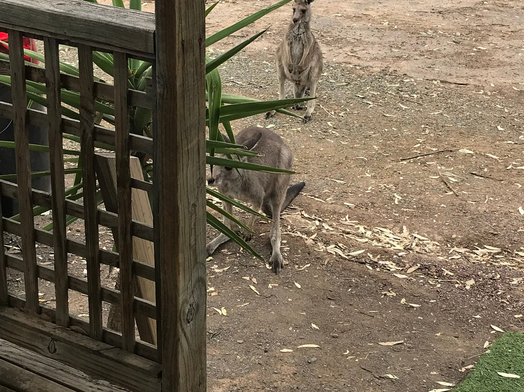 Lake Waranga Caravan Park & Holiday Camp
