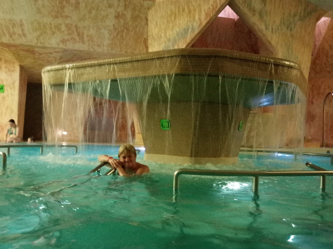 Viiking Spa Hotel主图