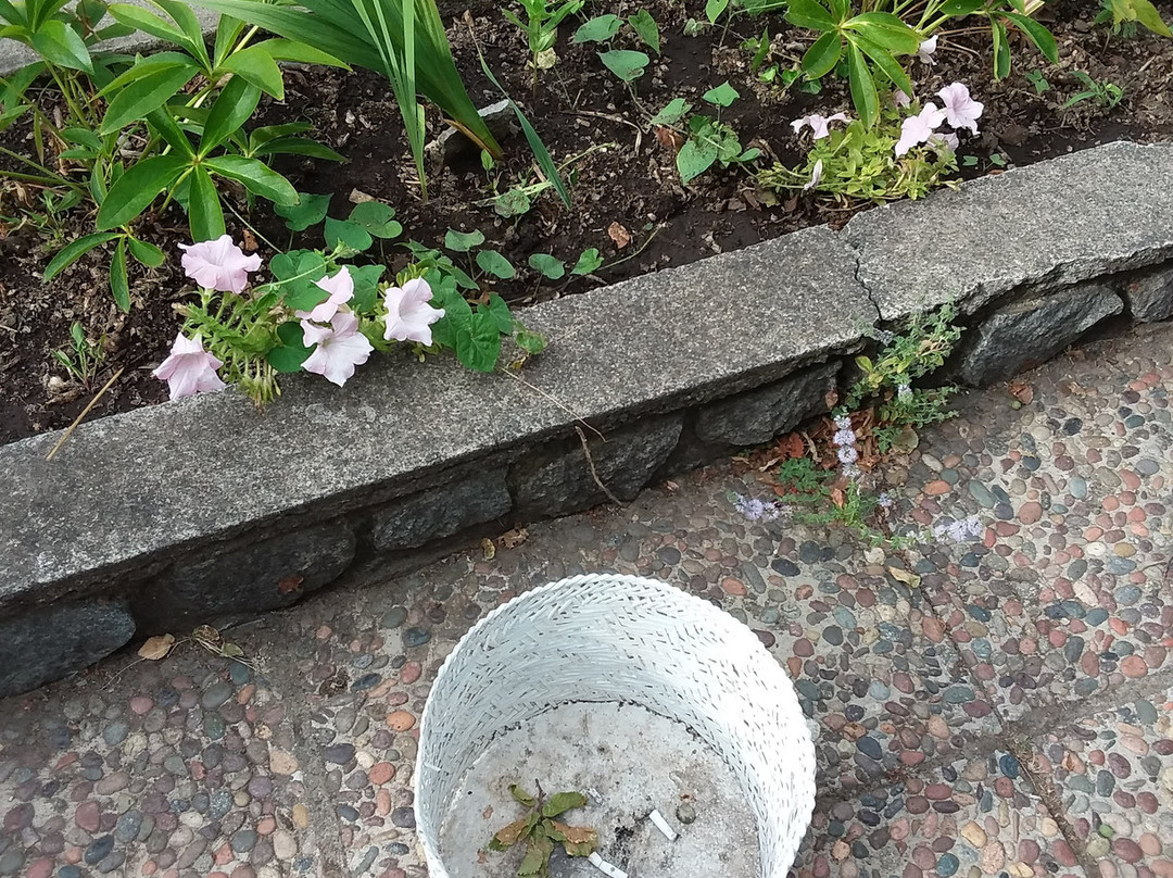 Termas De Panimavida主图