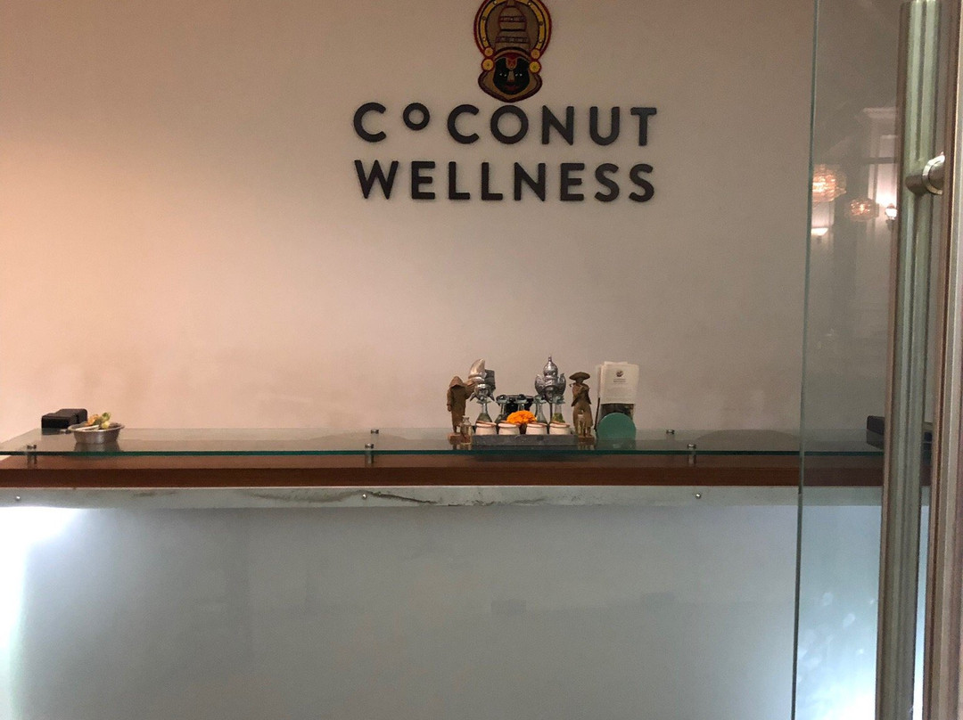 Coconut Wellness景点图片
