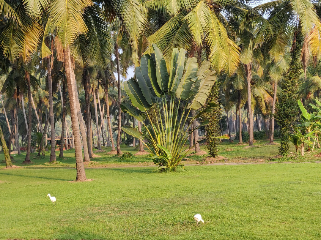 The Lalit Resort & Spa Bekal主图