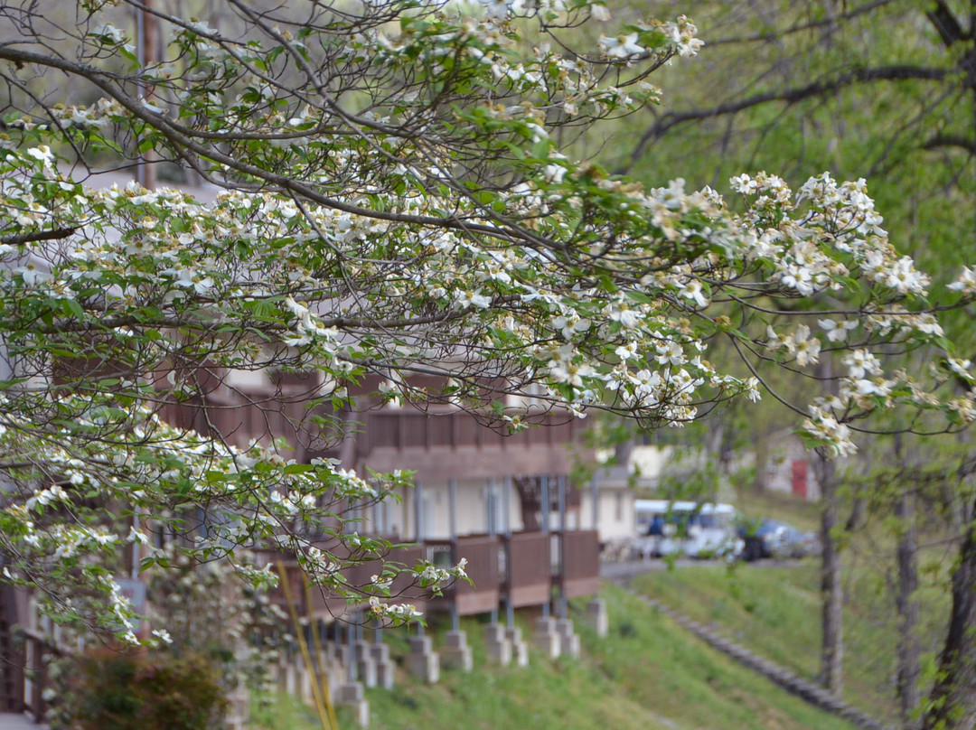 The Retreat At Center Hill Lake主图