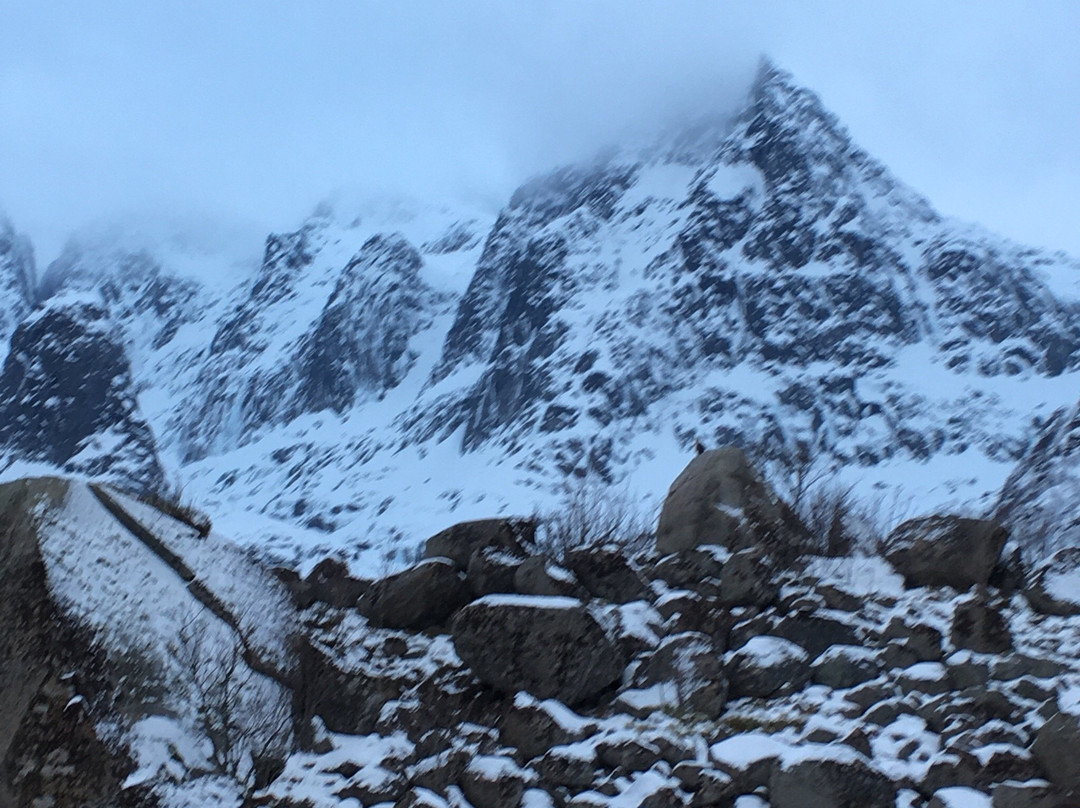 Trollfjord Cruise景点图片