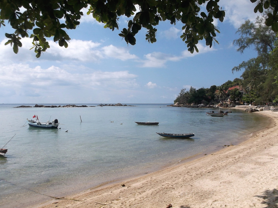 Jungle Hut Bungalow and Hotel主图