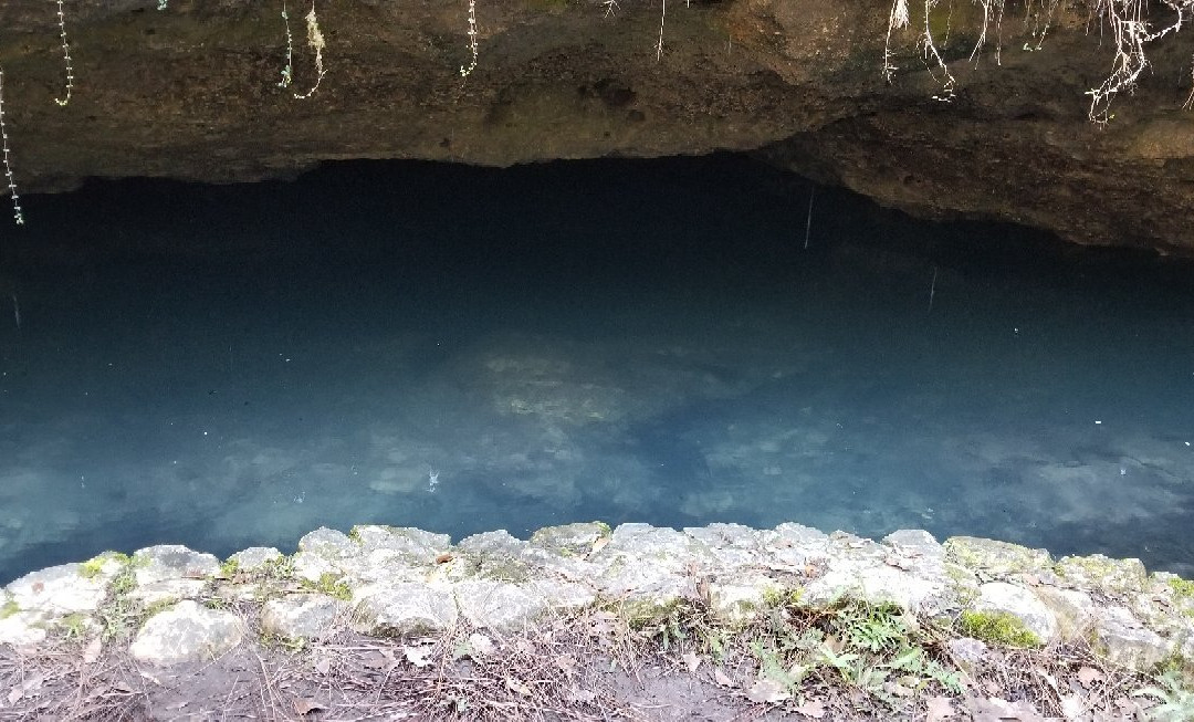 Leon Sinks Geological Area-塔拉哈西必去景点