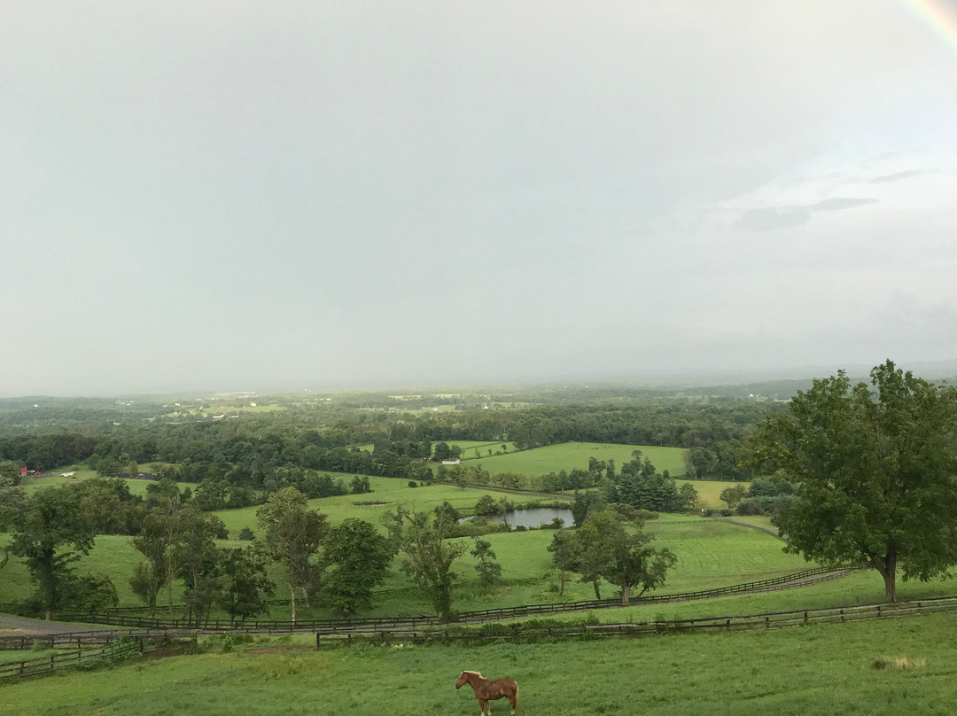 Weddings At Highholdborne主图