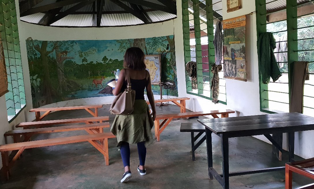 Royal Mile Budongo Forest-马辛迪必去景点