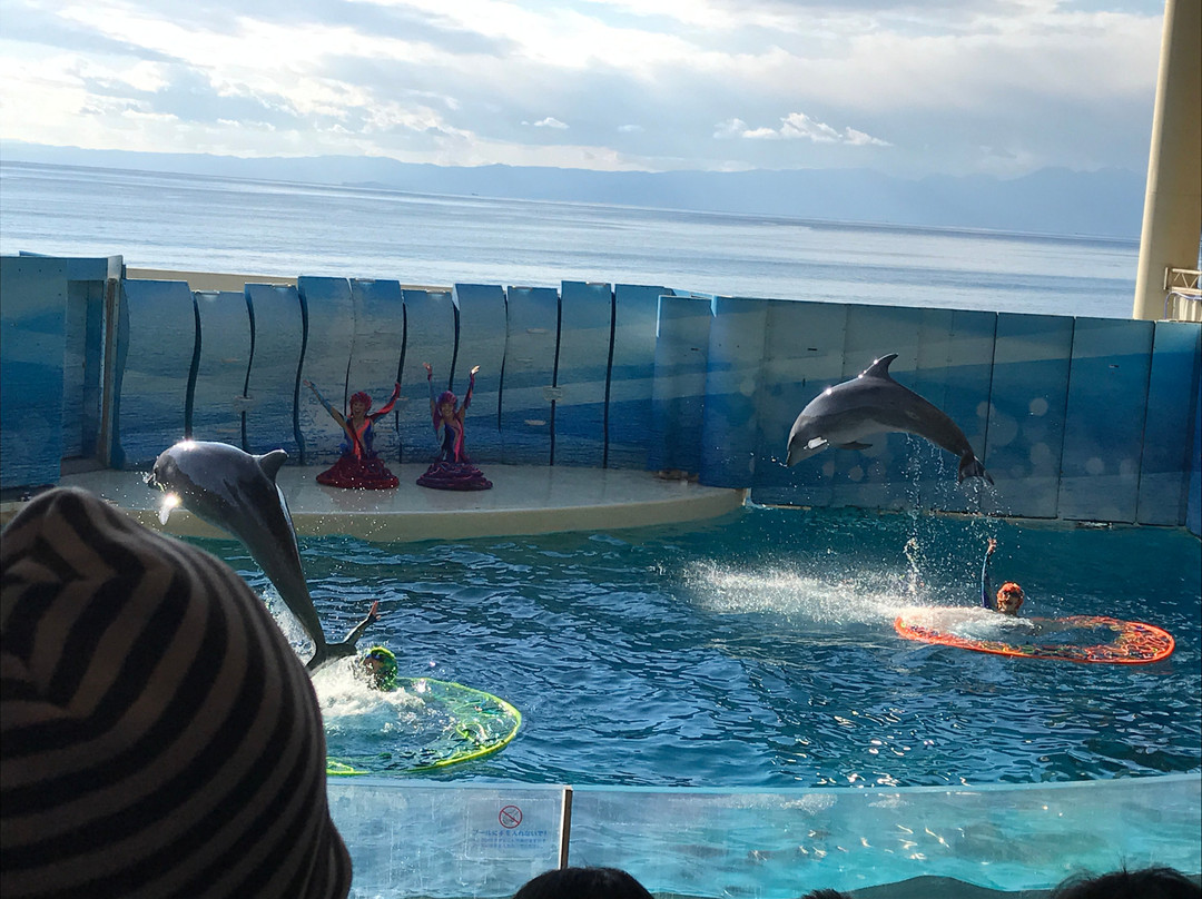 Enoshima Aquarium景点图片