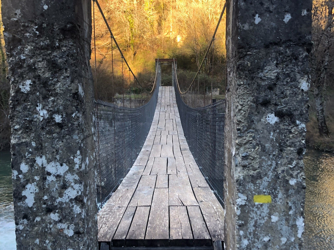 Aribeko Zubi Eserkia / Puente Colgante de Aribe-Aribe必去景点