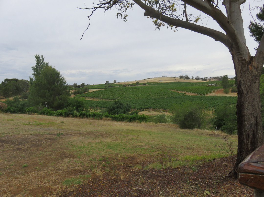Angaston Vineyards Motel主图
