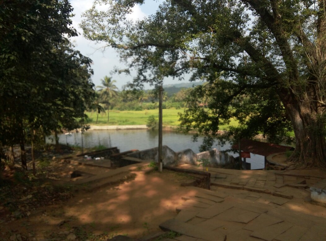 Thirumandhamkunnu Bhagavathy Temple景点图片