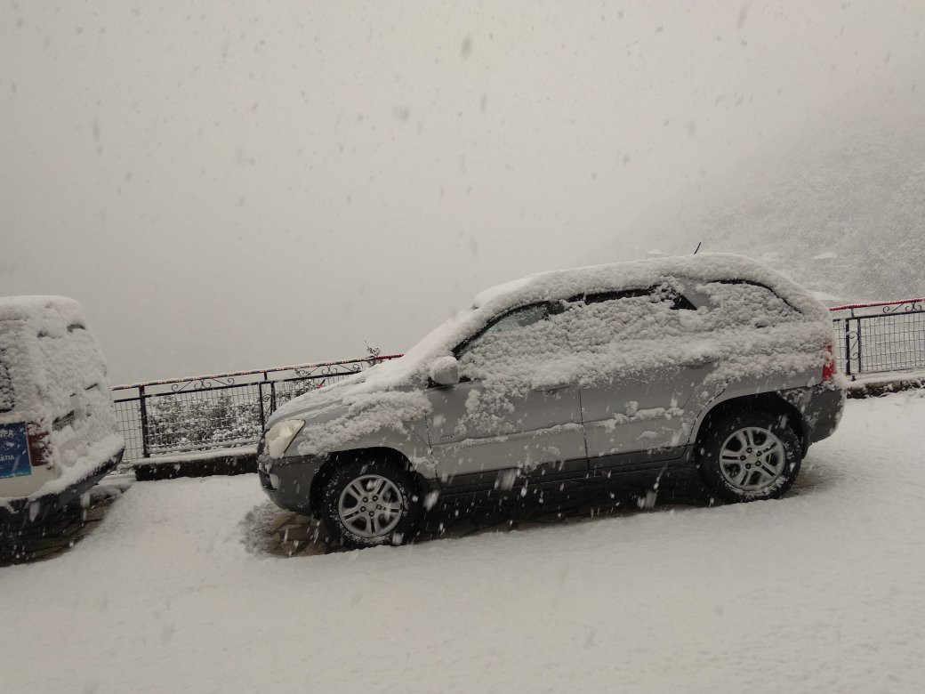 Terpsithea旅游攻略图片