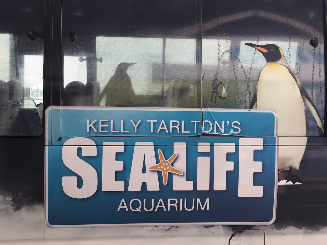 凯莉-塔尔敦海洋生物水族馆景点图片