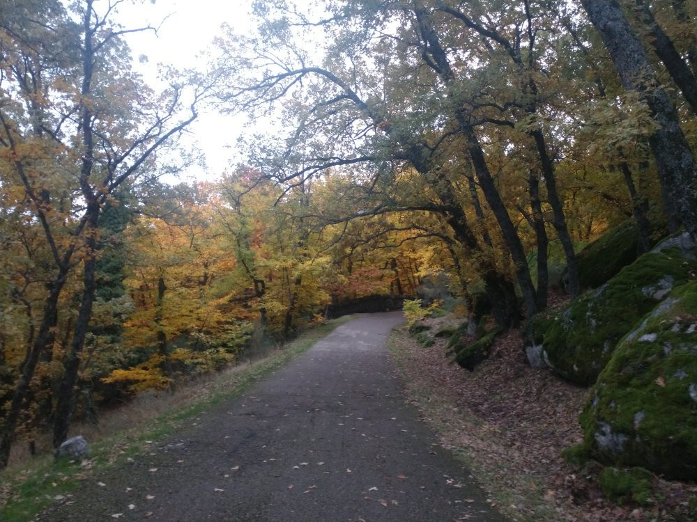 Bosque de la Herreria景点图片