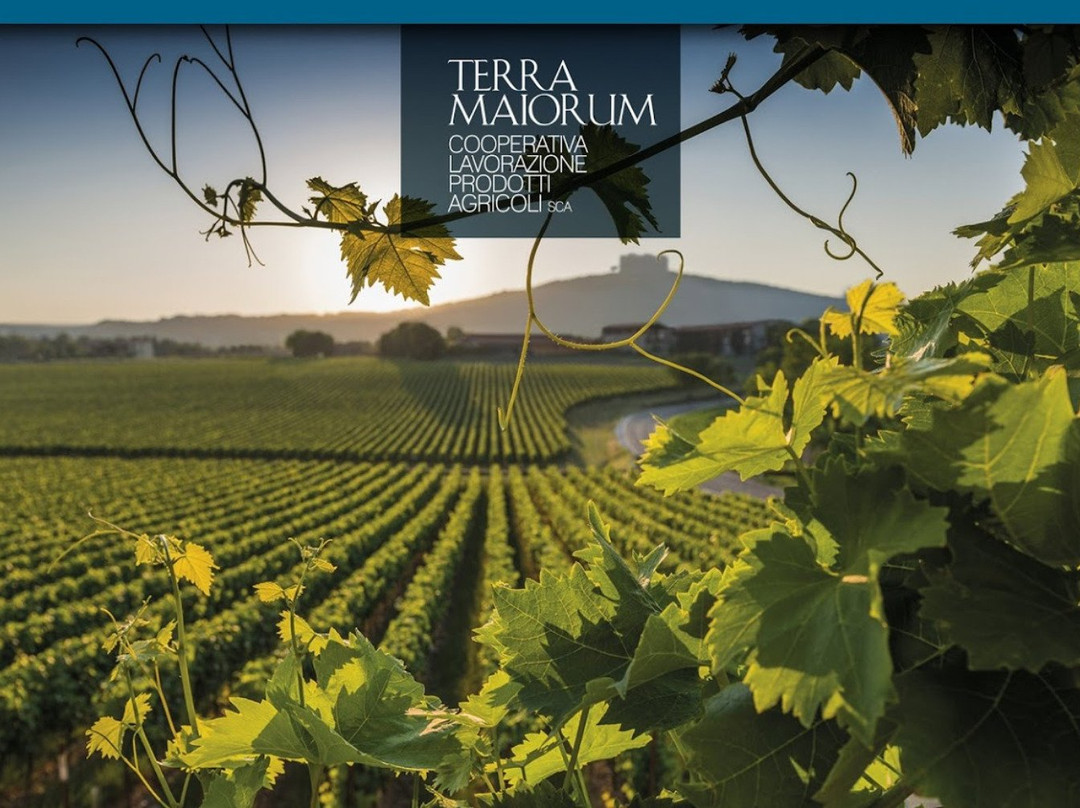 Cooperativa Lavorazione Prodotti Agricoli Terra Maiorum