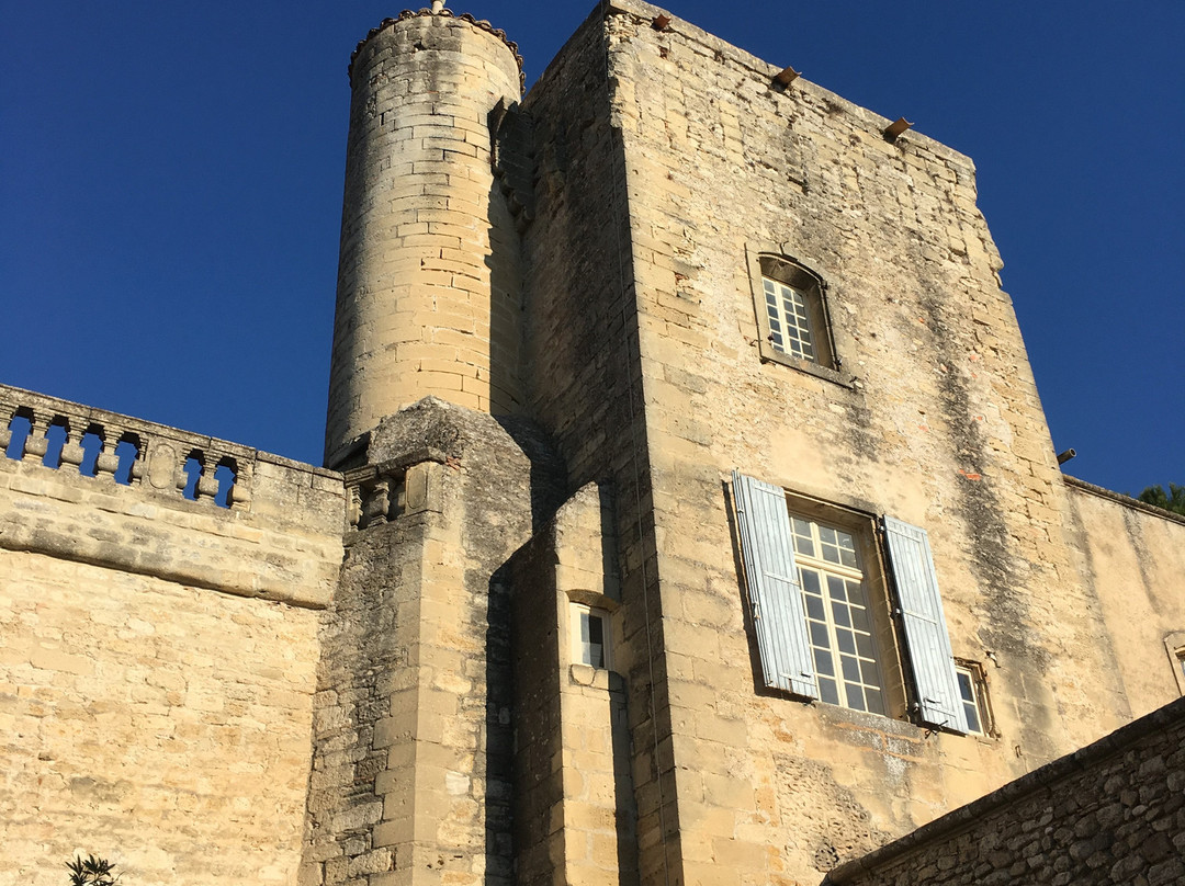Chateau de Villevieille景点图片