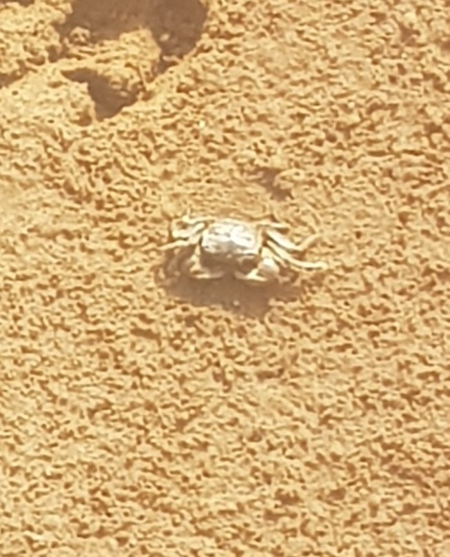 Aramoana Domain-但尼丁必去景点