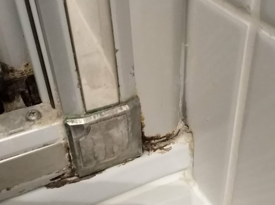 Hotel Zum Taunus主图