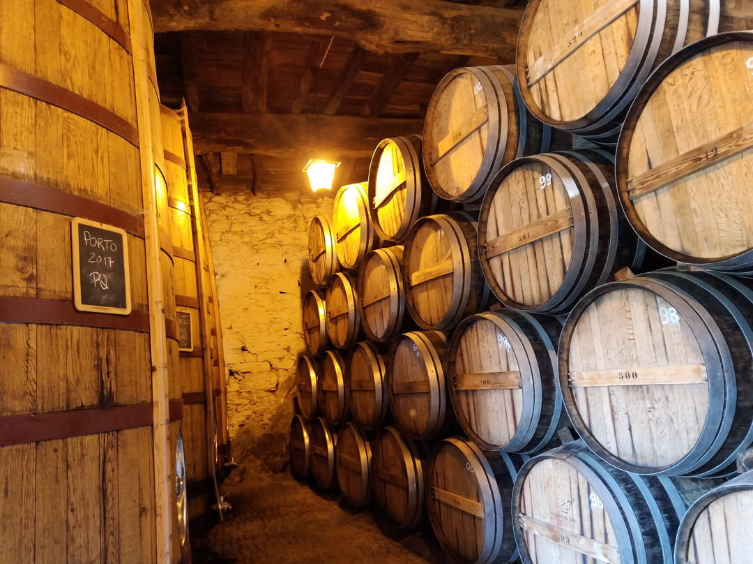 Rumo Norte - Tours e Viagens-布拉加区必去景点