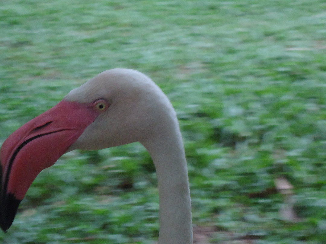 Groenekan旅游攻略图片