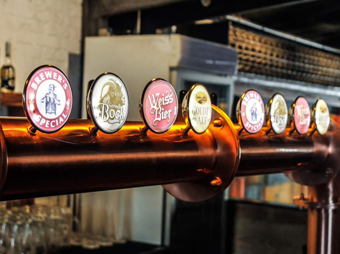 昌迪加餐馆和美食-The Great Bear