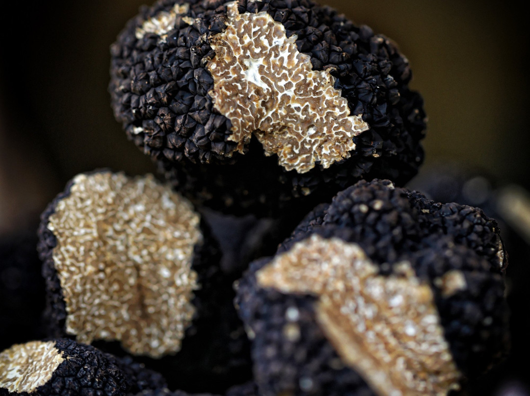 国际之家奥贝奇莫森主图