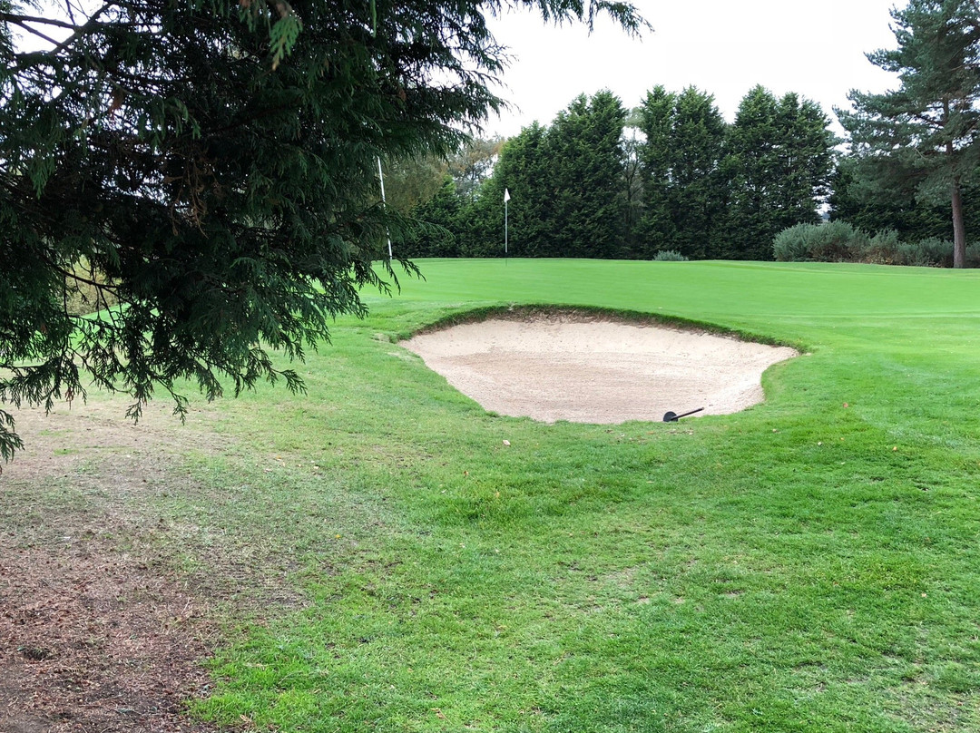 Sand Moor Golf Club景点图片