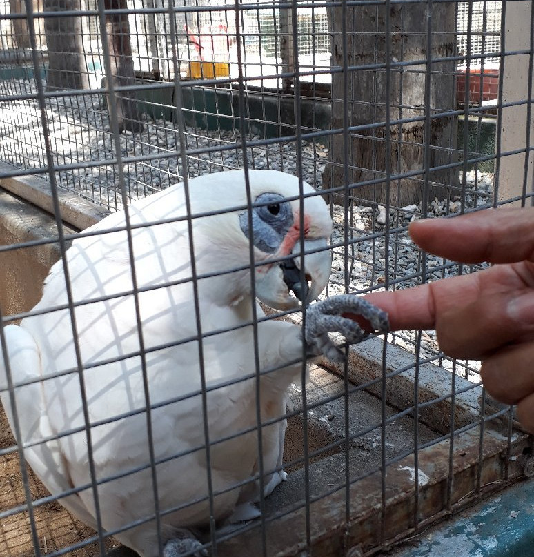 Birds Paradise-Robertson必去景点