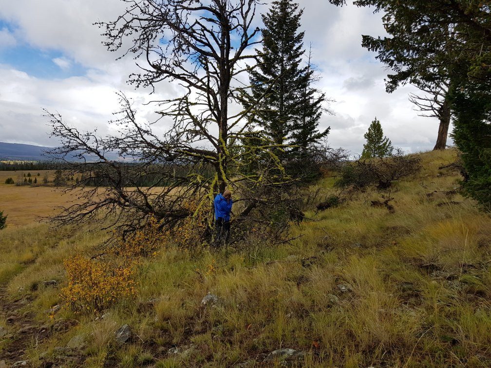 Tunkwa Provincial Park-Logan Lake必去景点