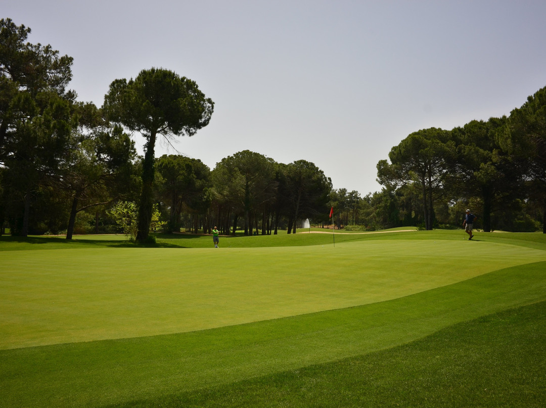 Golf Data TLC-西索美塞必去景点