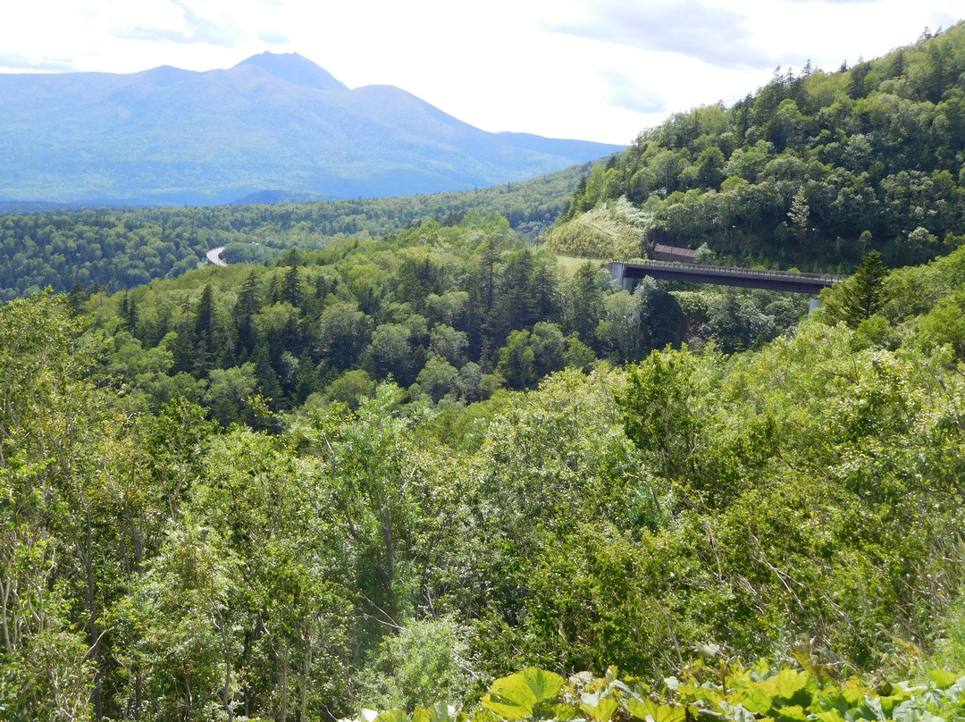 Mikuni Pass Observation Deck景点图片