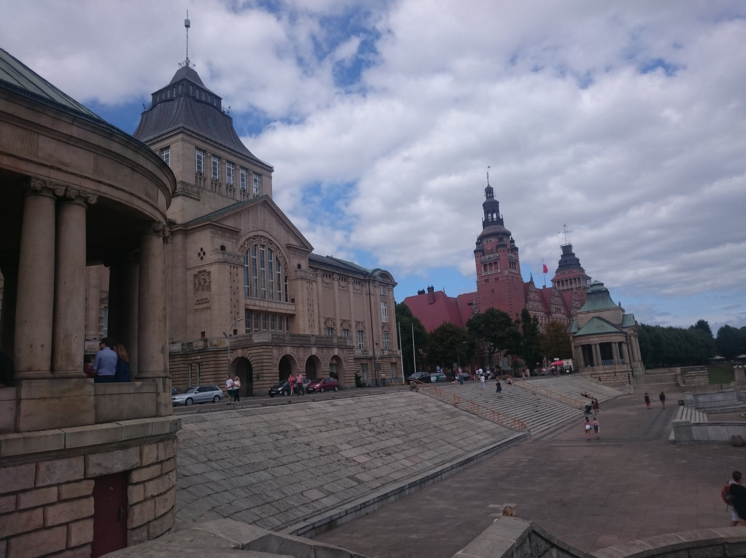 National Museum in Szczecin景点图片