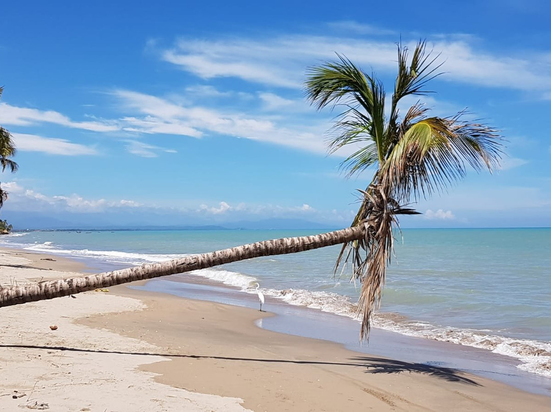 Coccoloba Beach Hostel