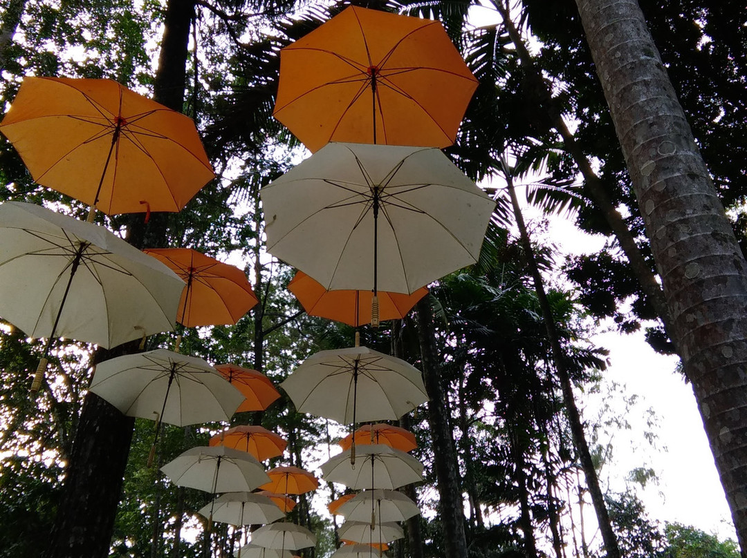 Kyai Langgeng Park-马吉冷必去景点