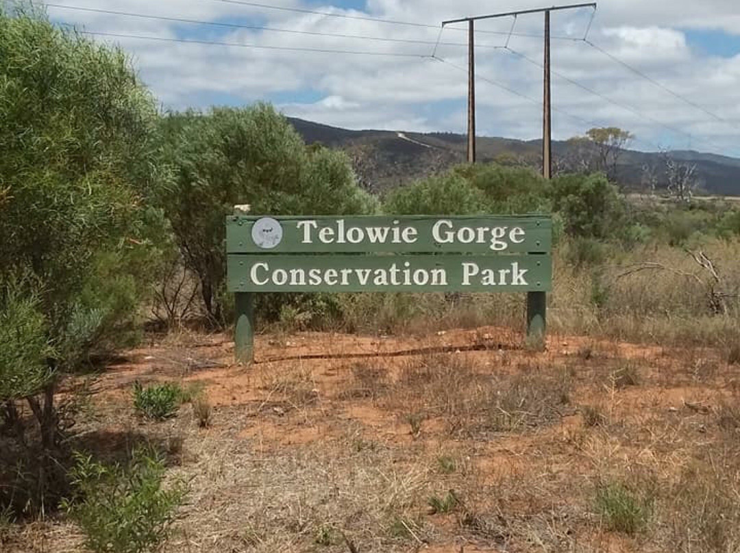 Booleroo Centre旅游攻略图片