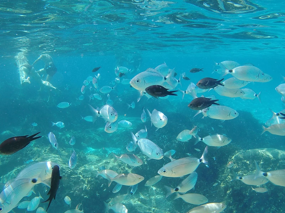 Genna Tours-卡利亚里省必去景点