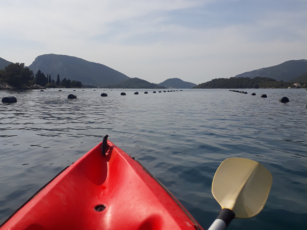 Kayaking Ston景点图片